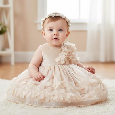 CC67574C  Rosebud Lace Tulle Party Dress  (6-24 months)