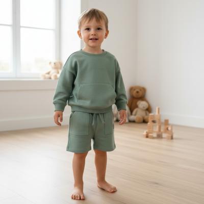 FDF09355-C  Sweatshirt and Shorts Set (2-4 years)