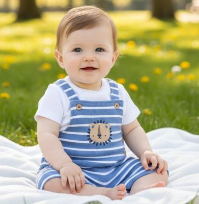 RBH13209  Ribbed Lion Dungaree set  (3-12 months)