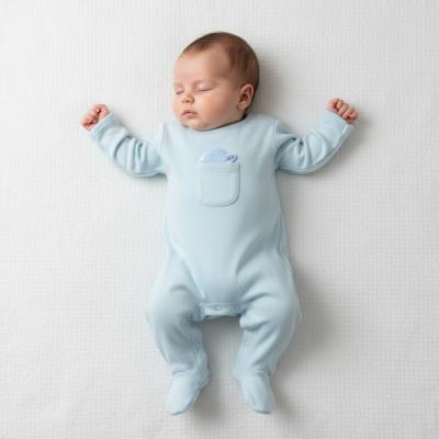 RBH14052S Pocket "Tortoise" All In One (0-9 months)
