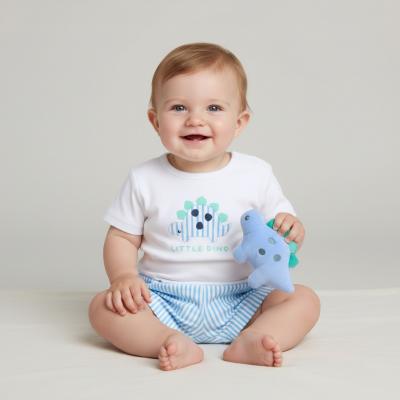 RBH14949  Stegasaurus top and shorts with plushie  (0-9 months)