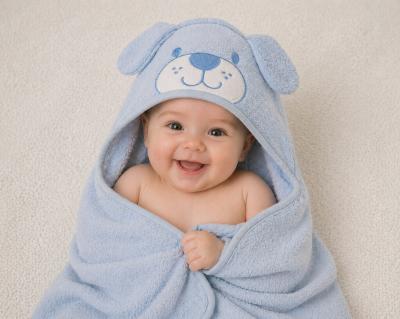 SB120-095-S "Dog" Hooded Towels Sky