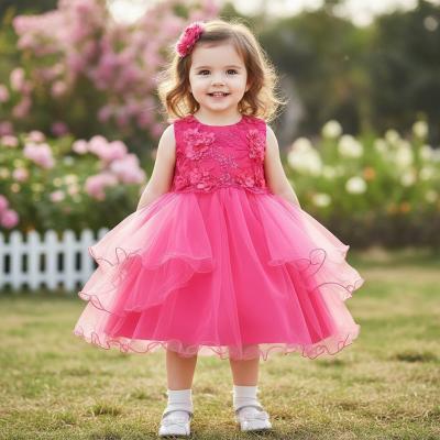 TiaH100HP  Hot Pink Appliqued Dress (9-24 months)